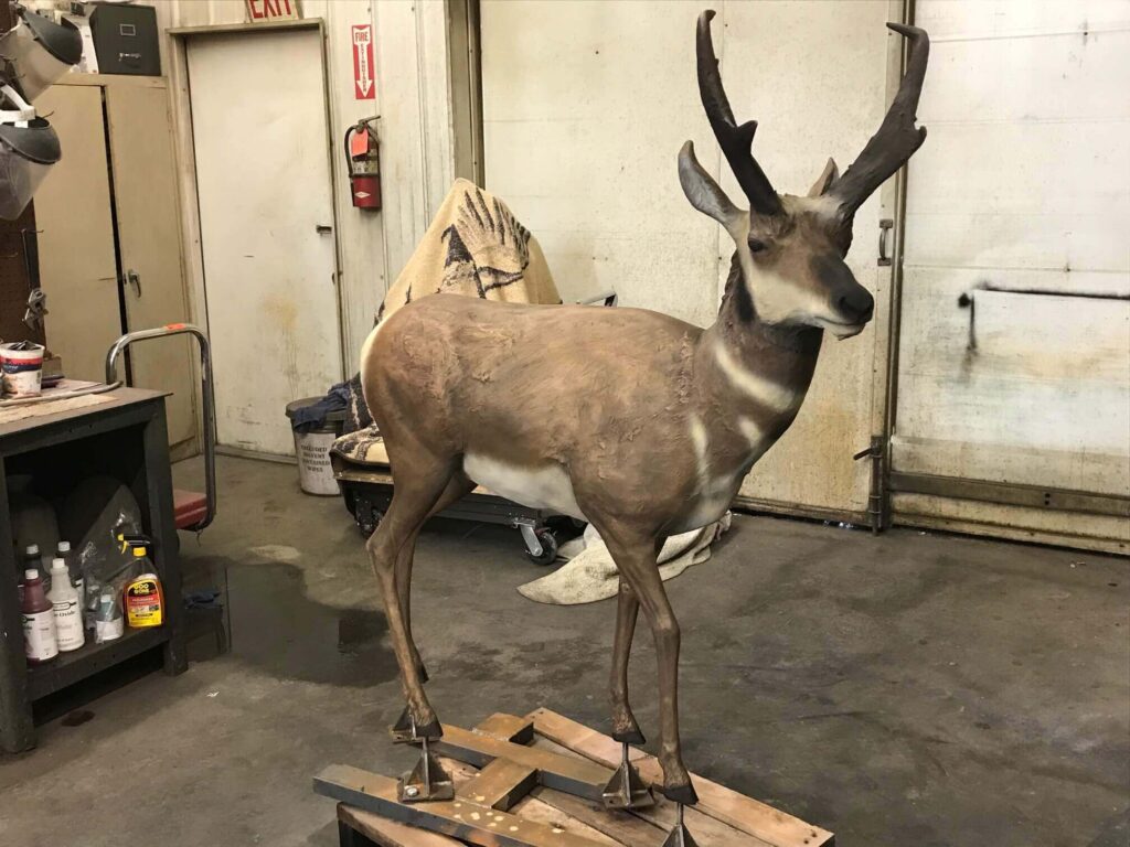 Bronze Wildlife Sculptures &ndash; &ldquo;Sharing the Land&rdquo; scene of antelopes, javelina, and flora including cactus and century plant in Prescott Valley, AZ by Tom White, sculptor / artist.